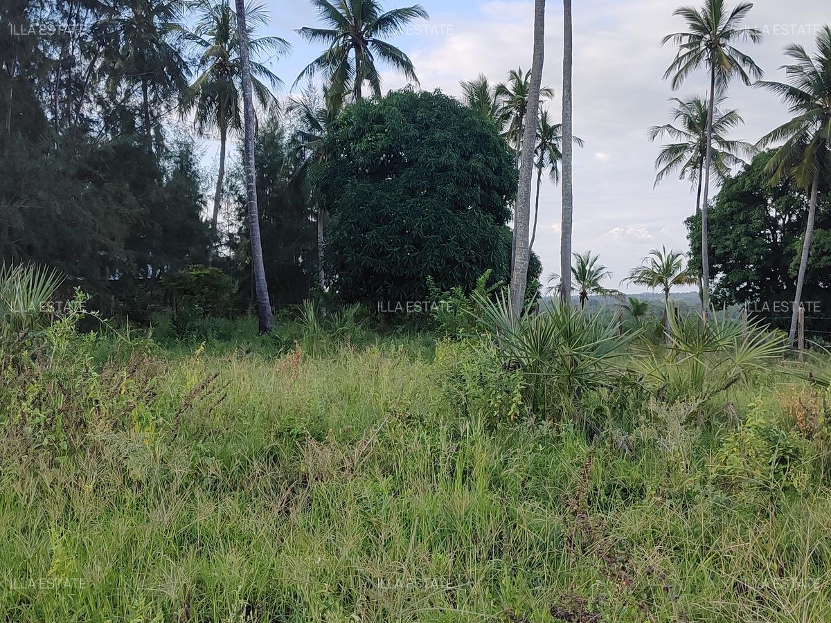 1,450 ac Land at Mabokoni - 7