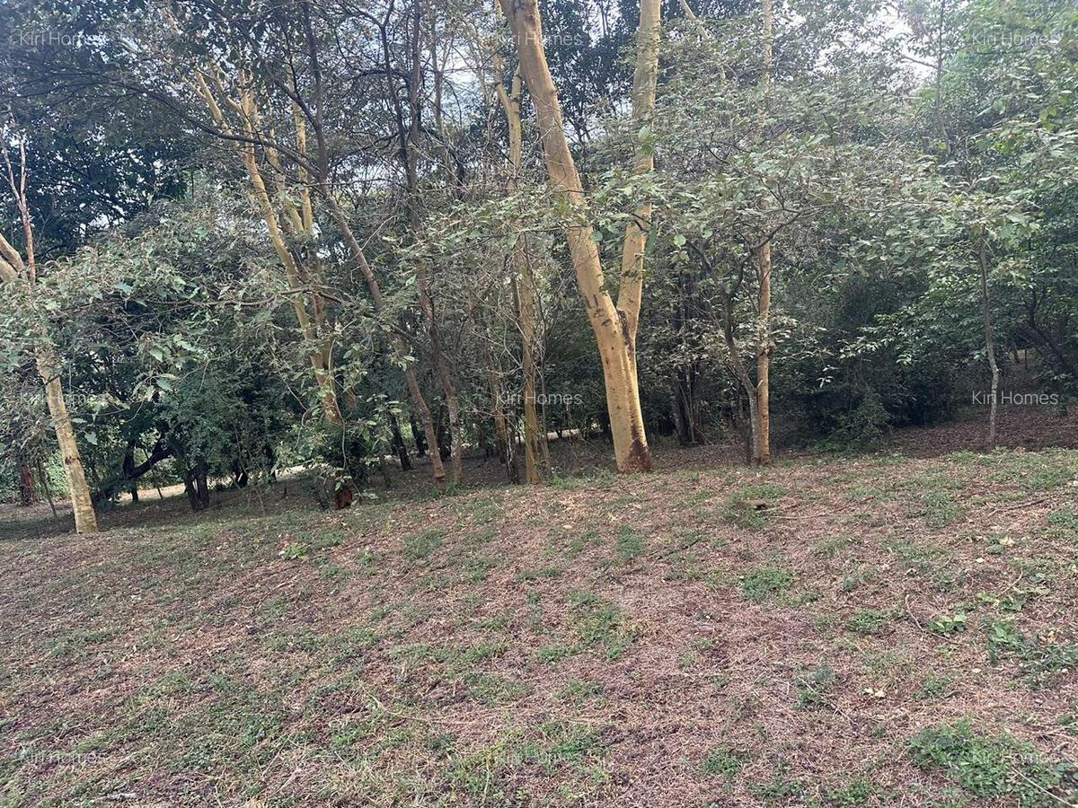 Land in Karen - 11