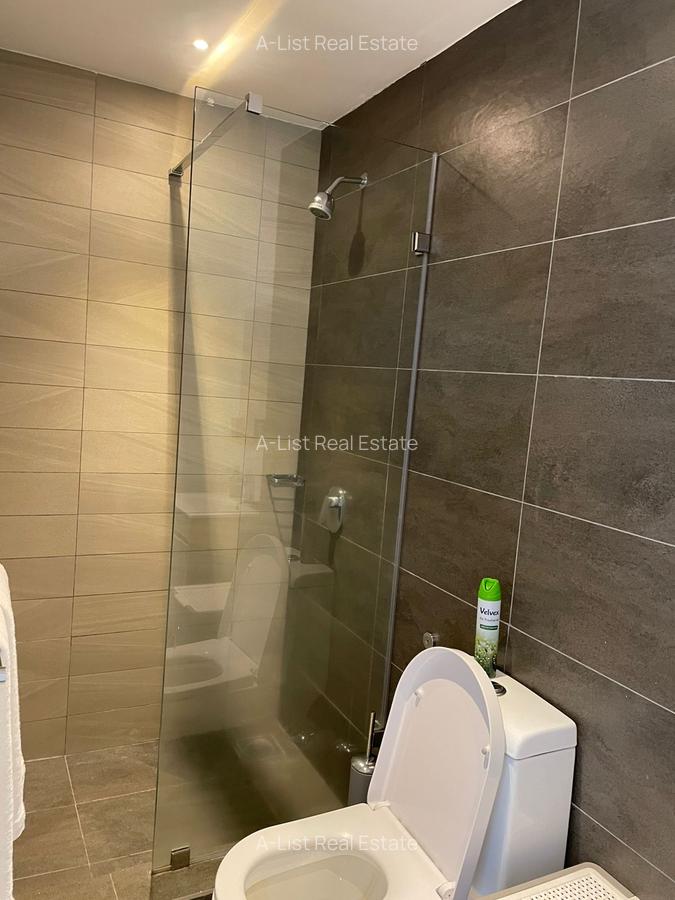 Furnished 1 Bed Apartment with En Suite at Mbaazi Avenue - 17