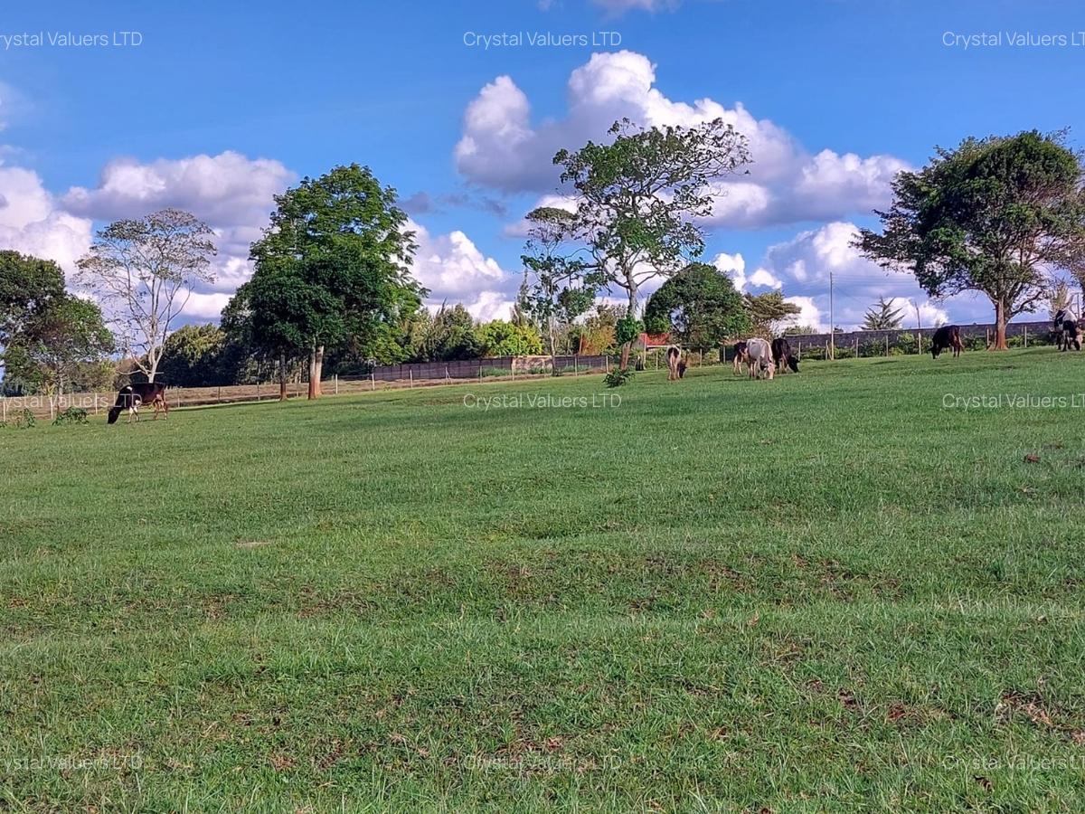 21 ac Land in Tigoni - 1