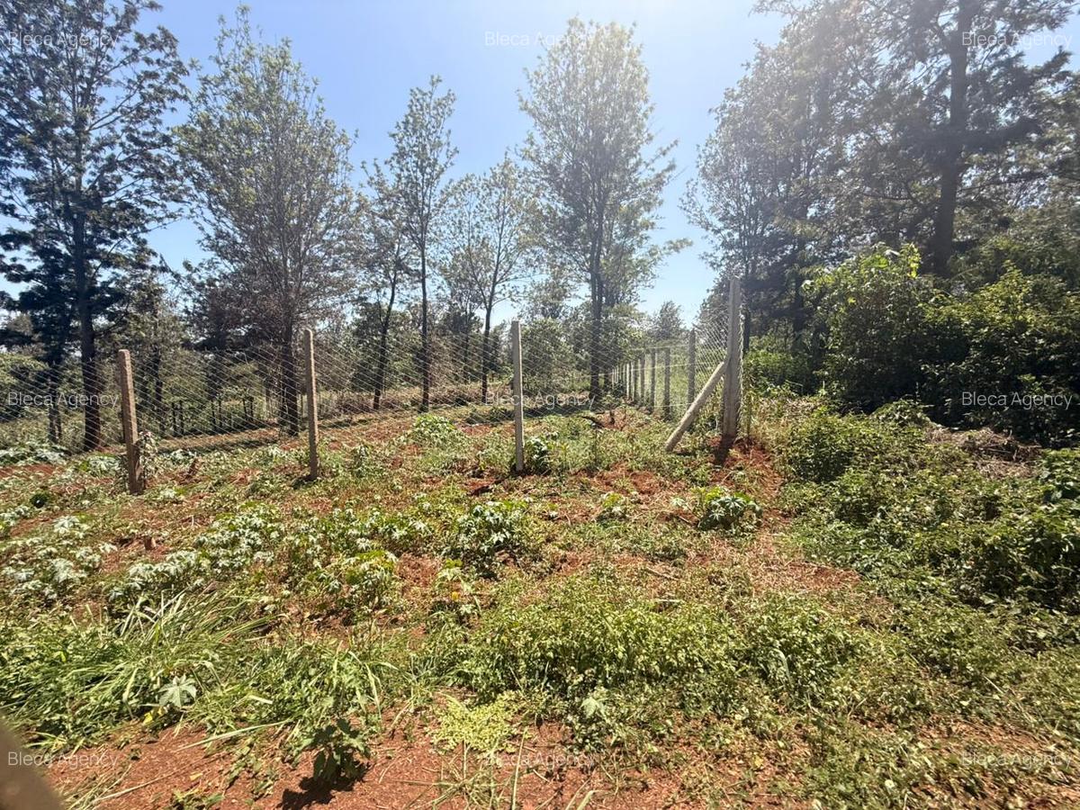500 m² Residential Land at Ruiru-Githunguri Road - 14