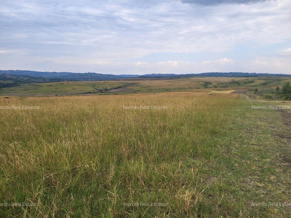 Land in Narok - 3