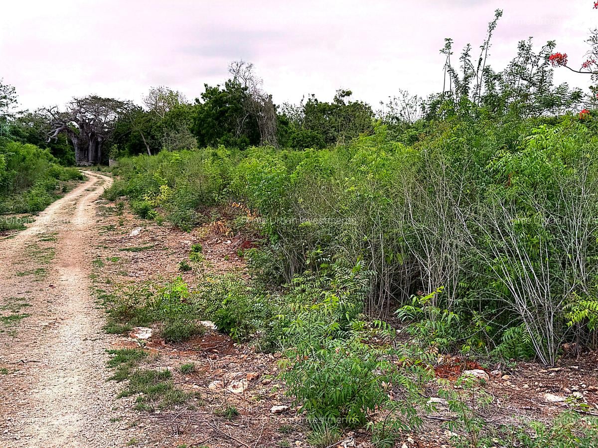 4,026 m² Land at Vipingo Kuruwitu - 5