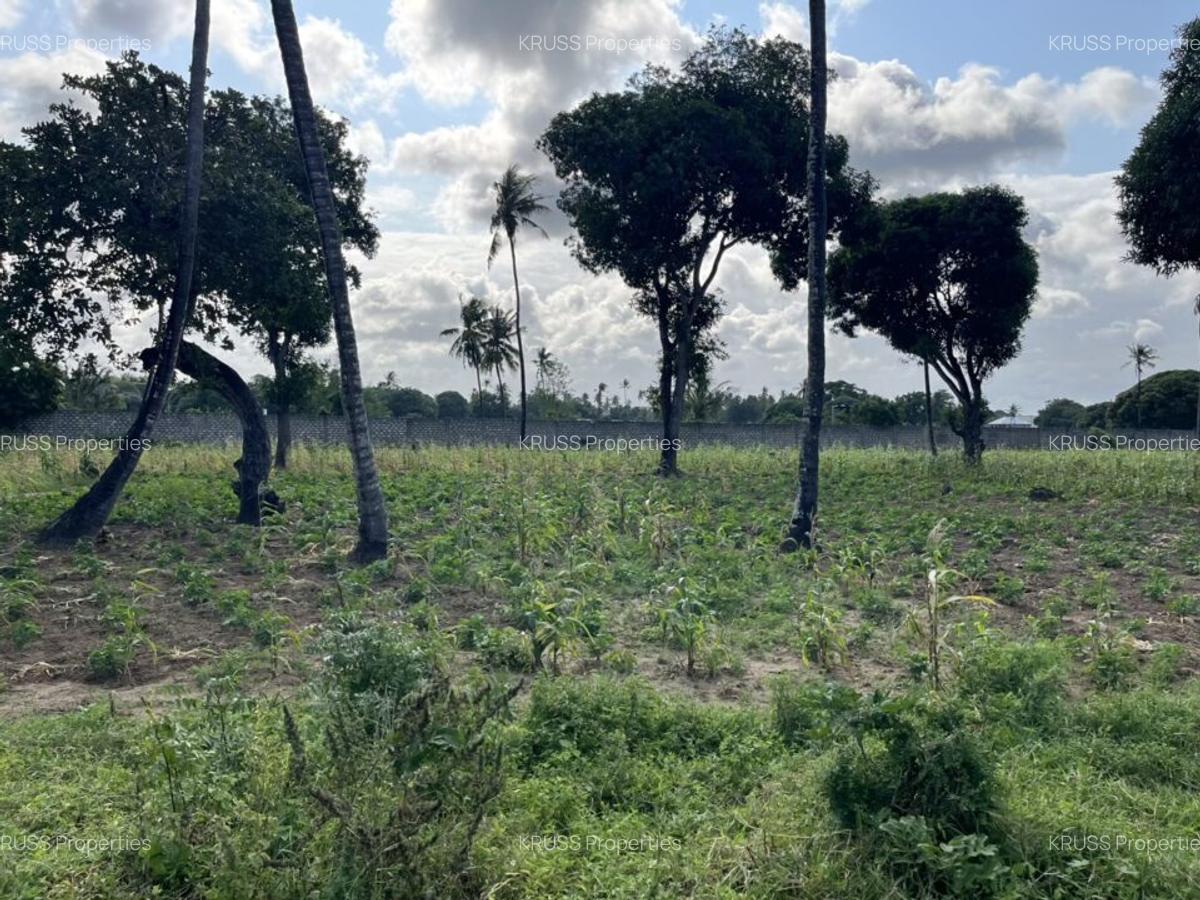 1 ac Land in Vipingo - 1
