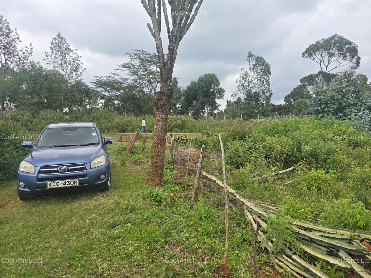 3 ac Land at Nderu Shopping Center - 2