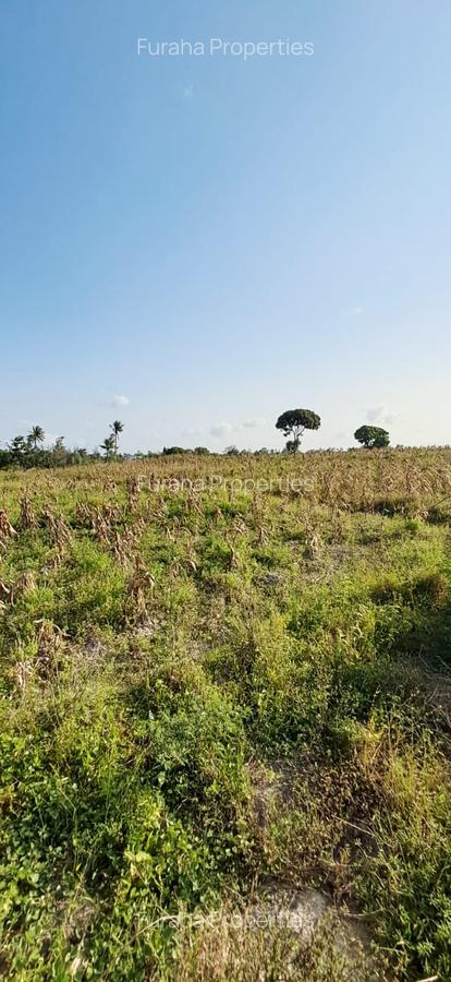 Land in Kilifi - 5