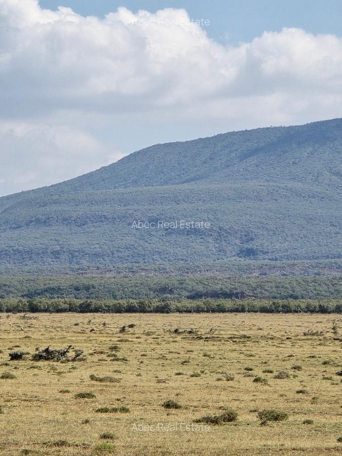 1 ac Land in Naivasha - 4