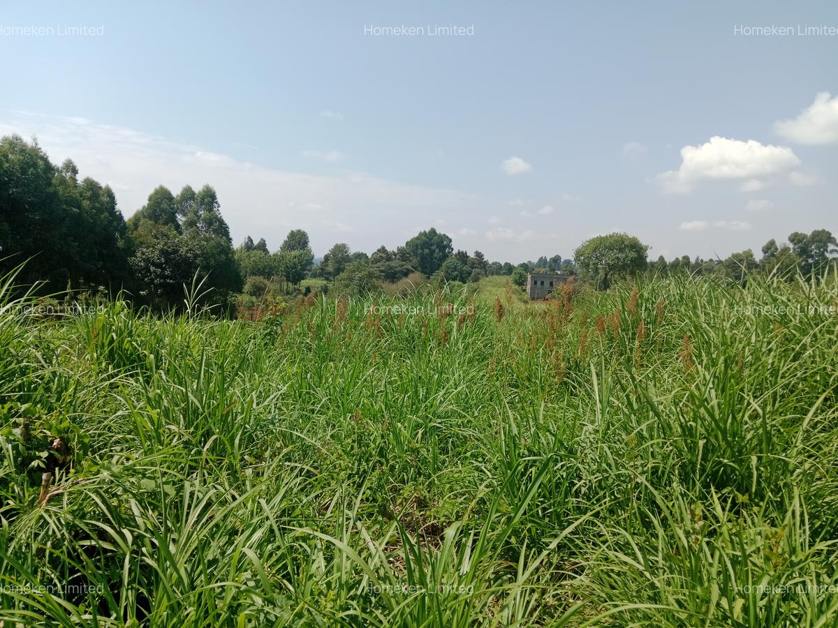 1 ac Land at Ngecha - 5