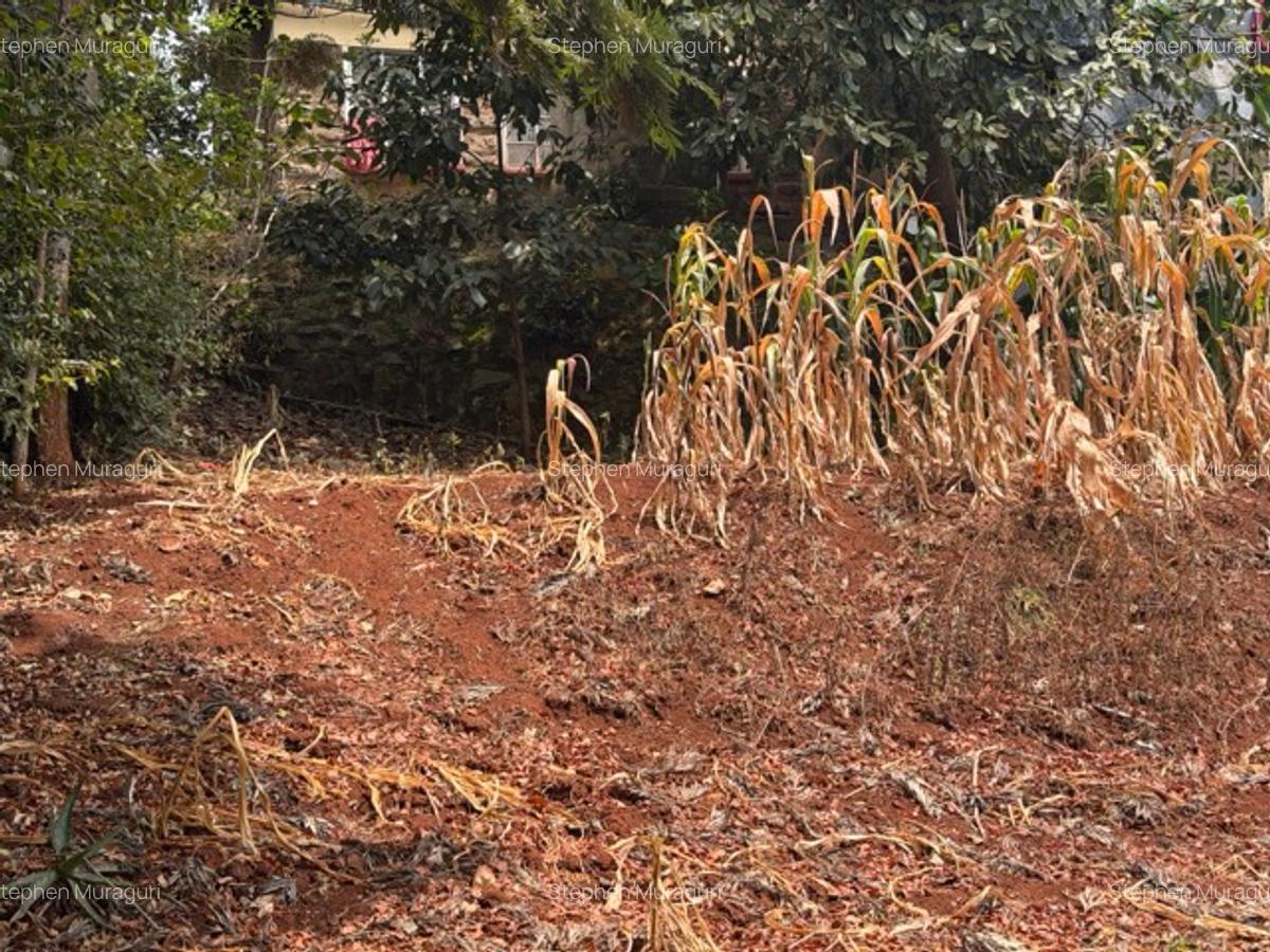 0.25 ac Land in Nyeri - 1