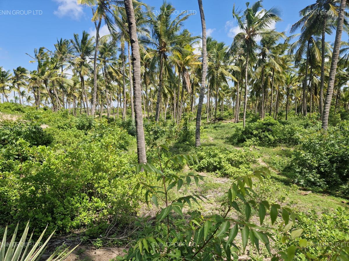 Land in Malindi - 1