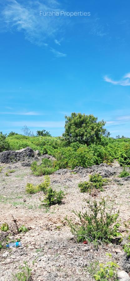 Land at Watamu - 10