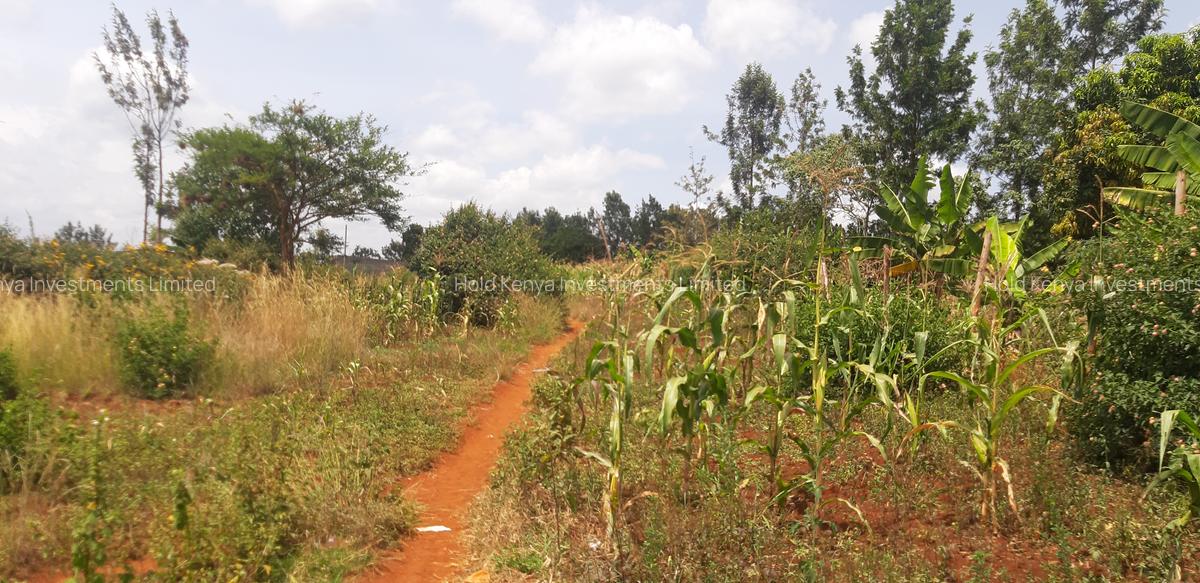 0.125 ac Residential Land at Riverside Drive - 8