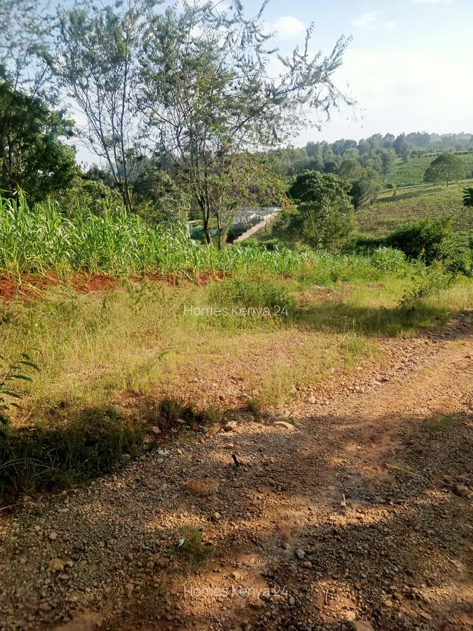 Land in Tigoni - 2
