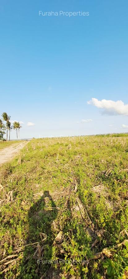 Land in Kilifi - 14