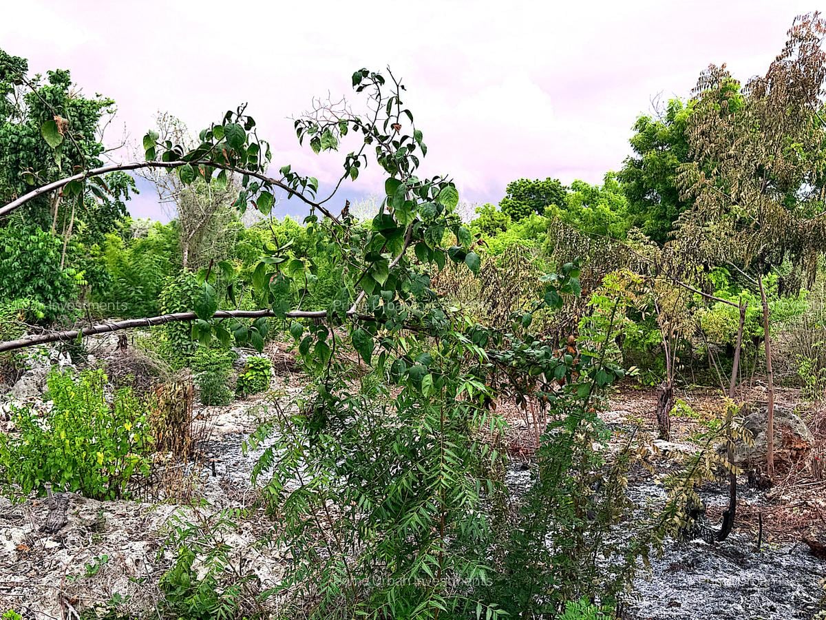 1,740 m² Land at Diani 4Row Beach - 7