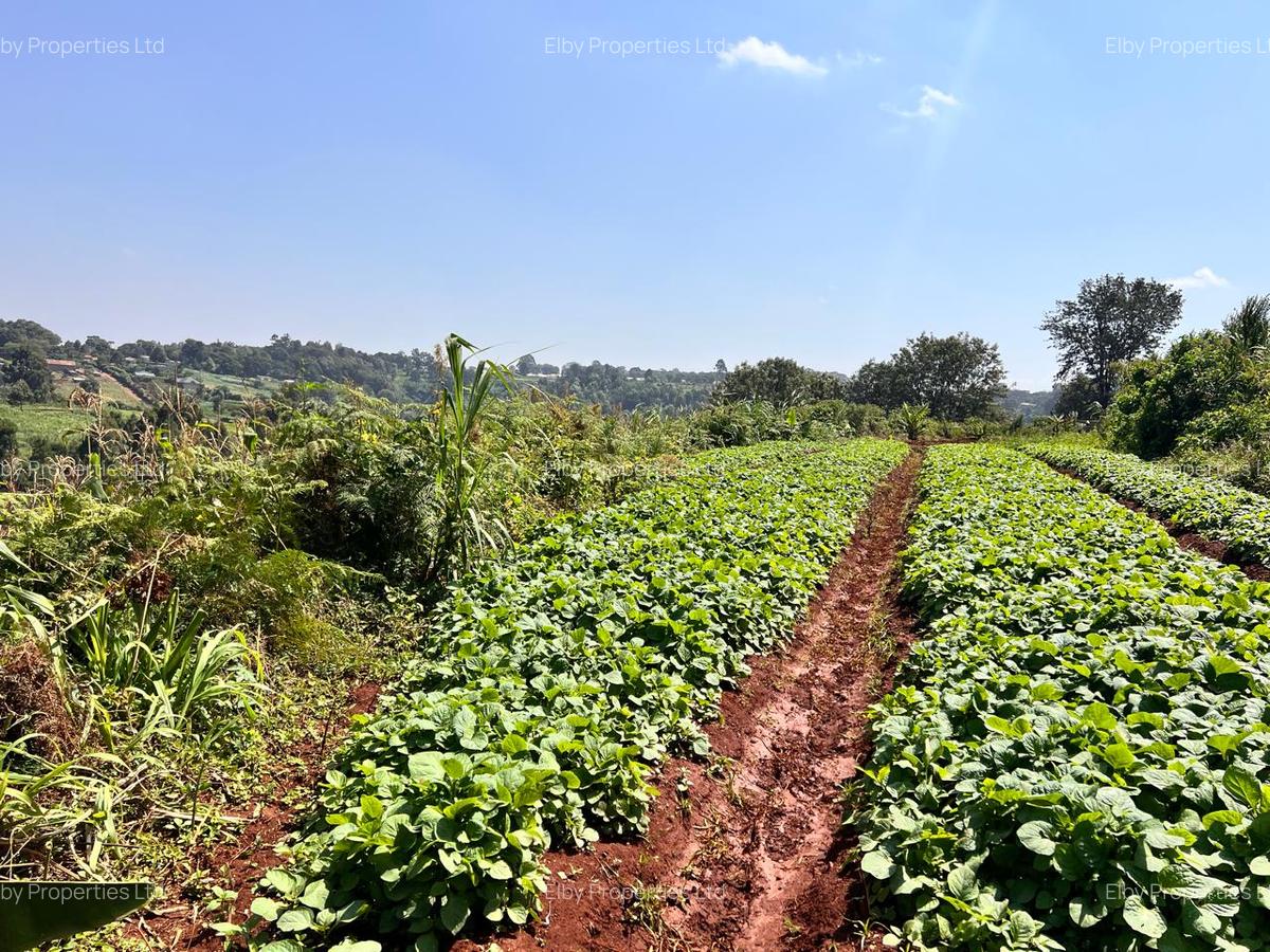 Land in Redhill - 11