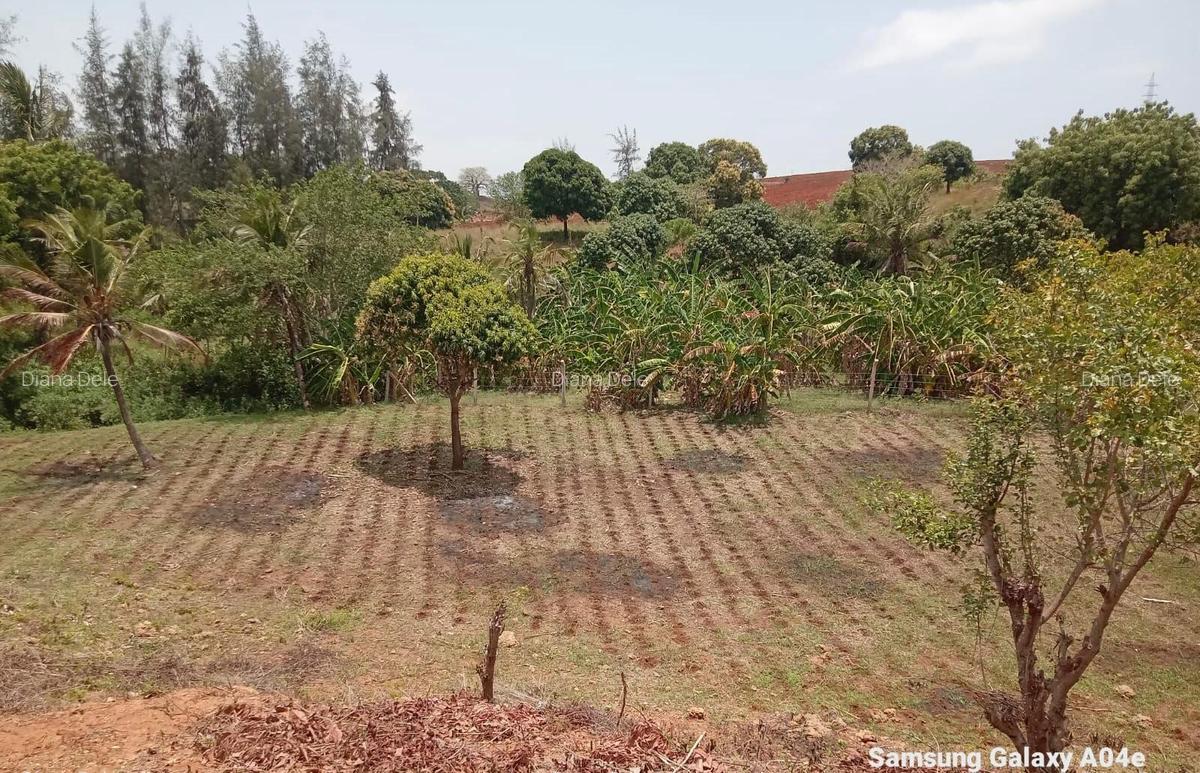 2.41 ac Land at Makonde Rd - 1