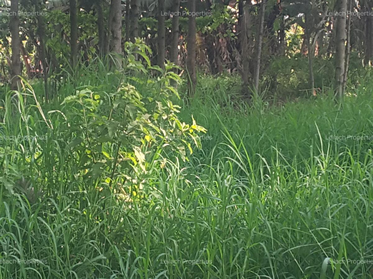 1.2 ac Land in Ngong - 10