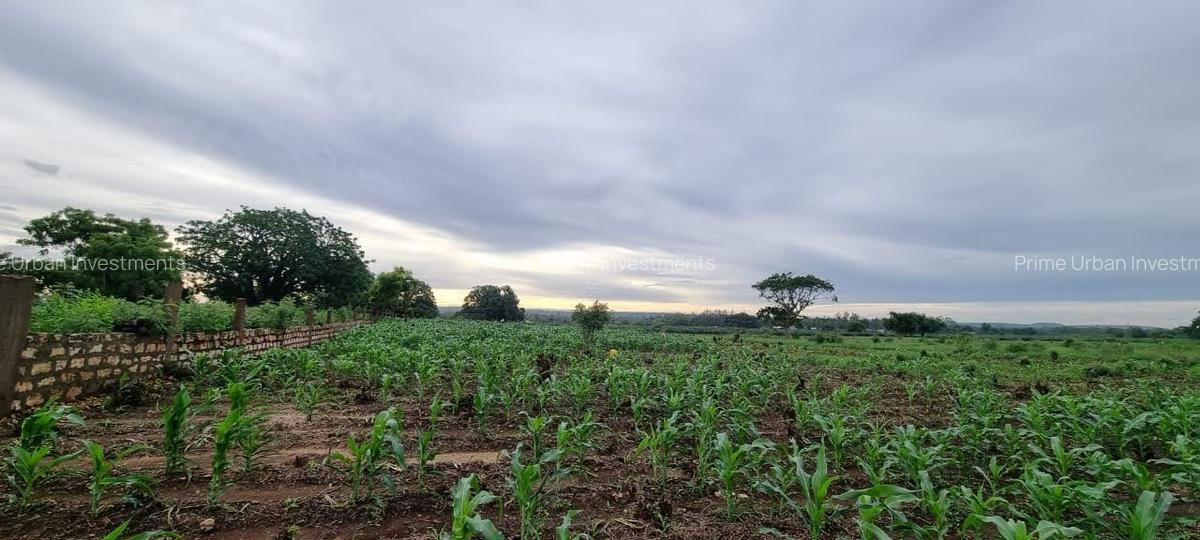 Land at Utalii - Vipingo - 12