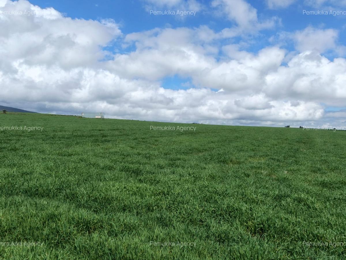 314 ac Land at Timau - 6