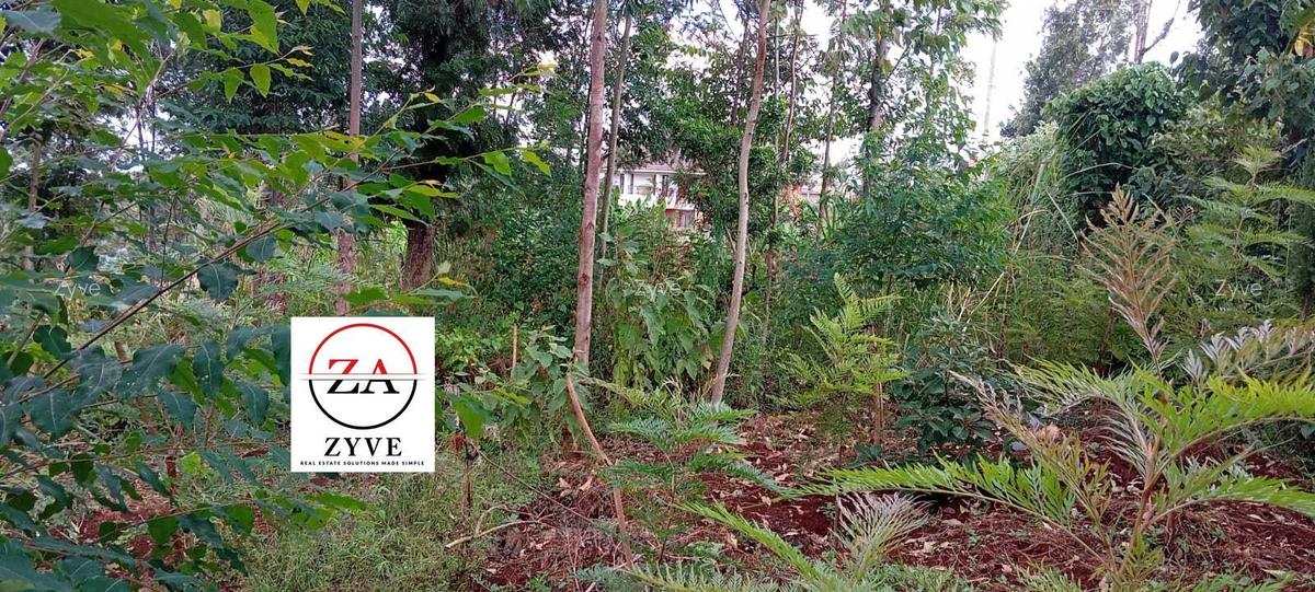 0.125 ac Land at Kasphat Estate - 17