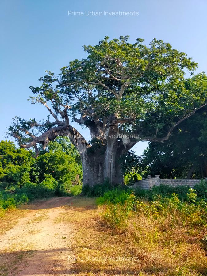 Land in Vipingo - 1