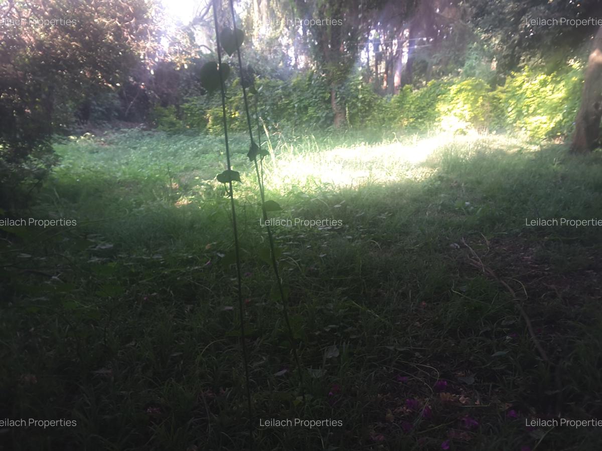 1.2 ac Land in Ngong - 6
