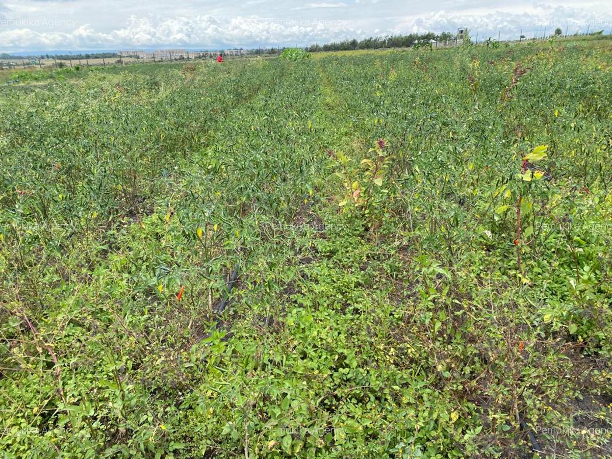 Commercial Land at Kitengera - 6