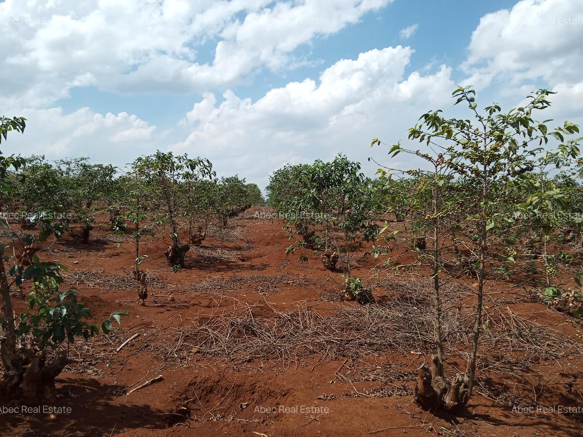 0.5 ac Residential Land at Runda Mumwe - 7