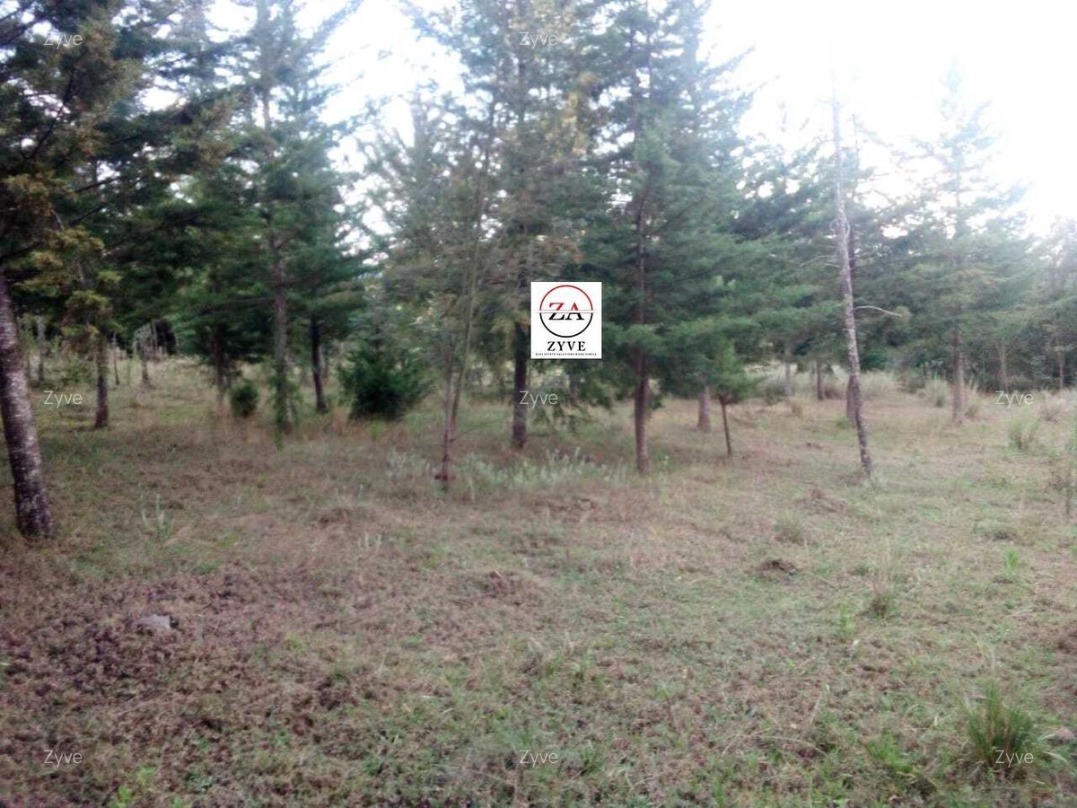 6 ac Land at Mukima Ridge - 5