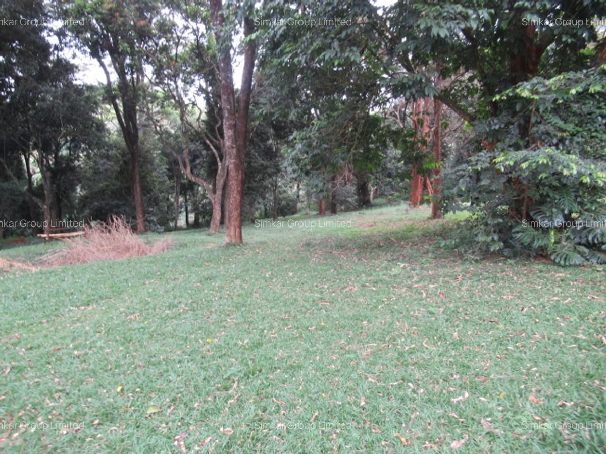 4 ac Land at Mushroom Gardens - 1
