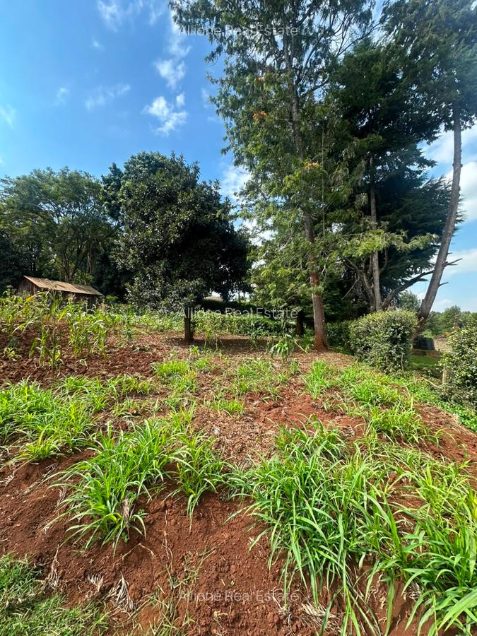 Residential Land in Tigoni - 3