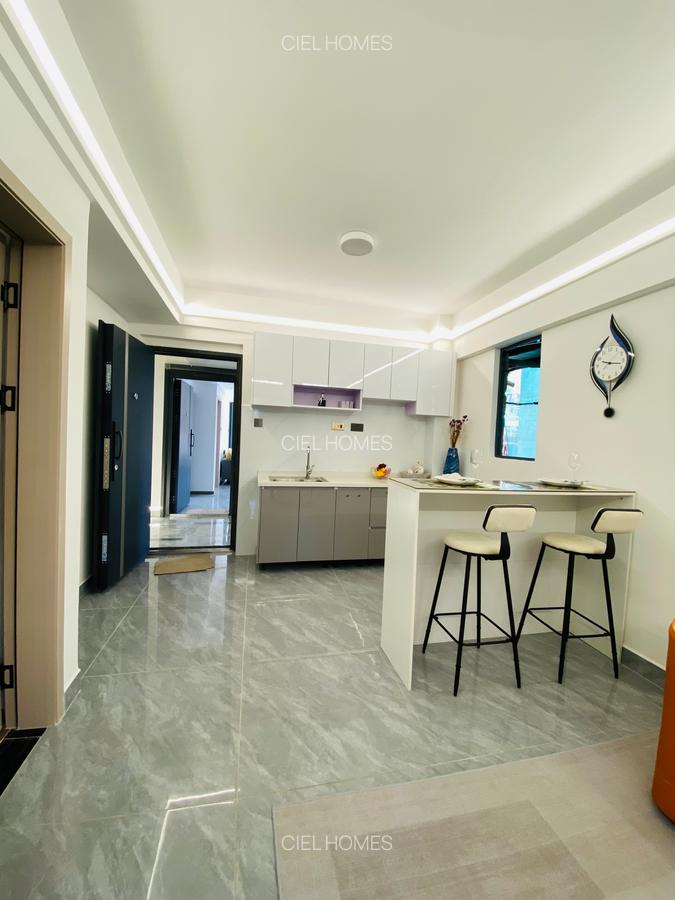 1 Bed Apartment with En Suite at Turbo Road - 7