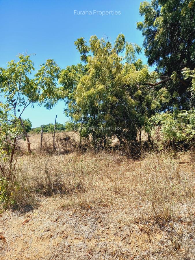 Land at Near Munarani - 1