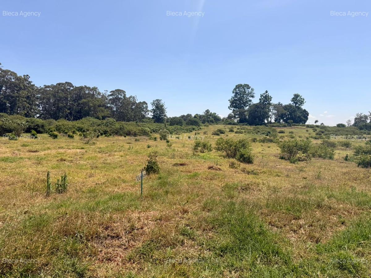 500 m² Land at Ruiru-Githunguri Road - 7