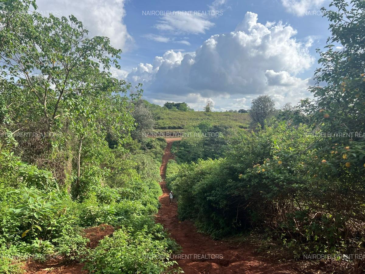 25 ac Land in Kitisuru - 7