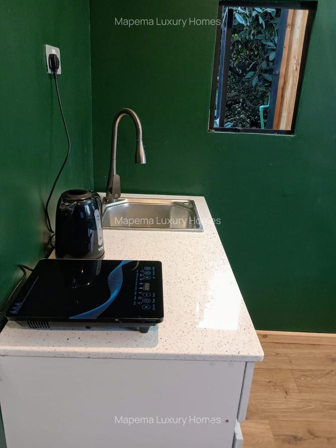 1 Bed House with En Suite at Tree Lane - 3