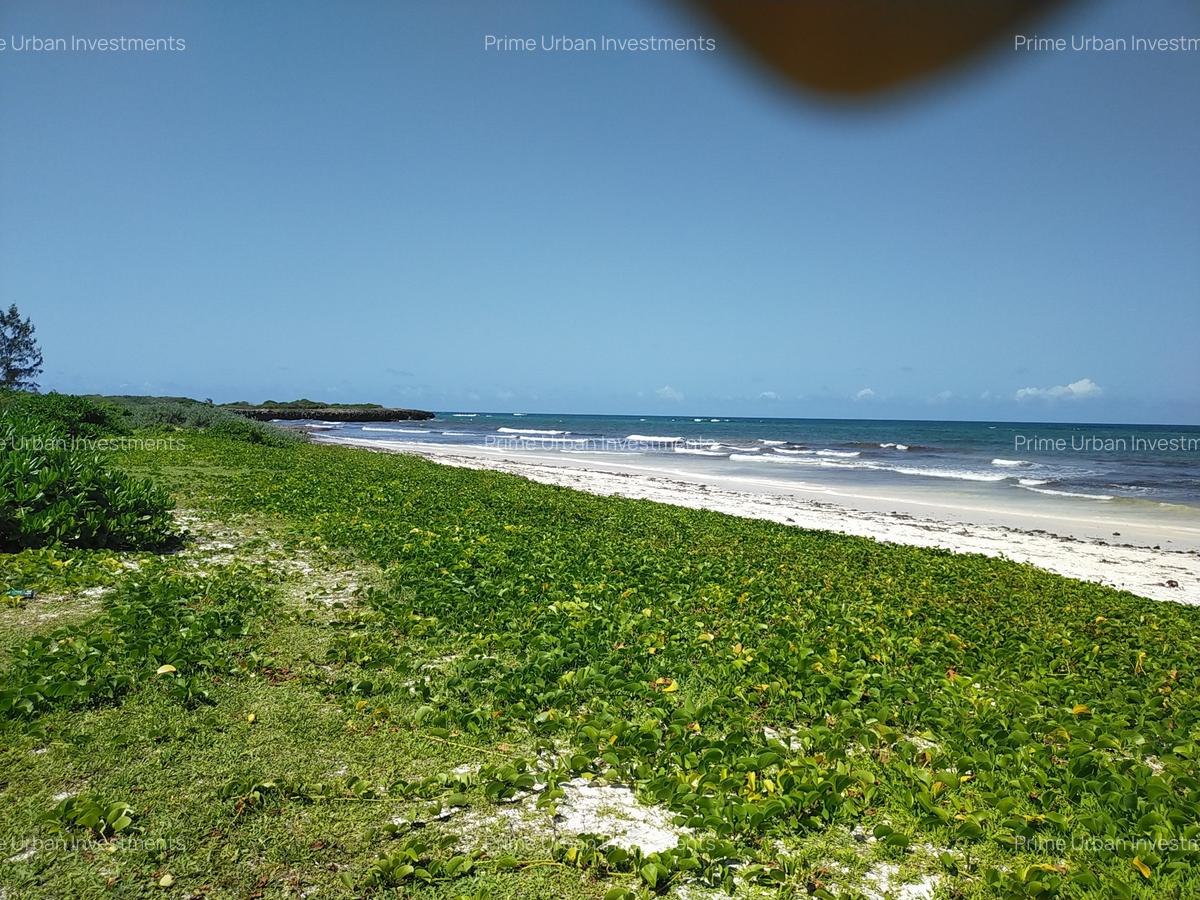 Land at Kilifi Bofa Beach - 10