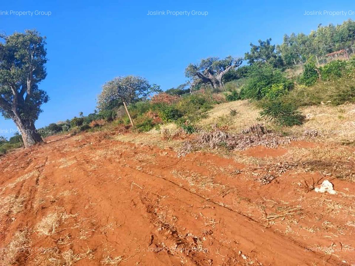 Residential Land in Mtwapa - 3