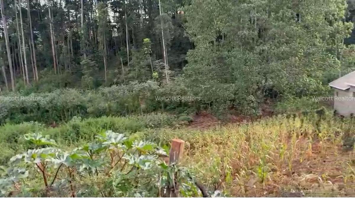 Land in Nyeri - 2