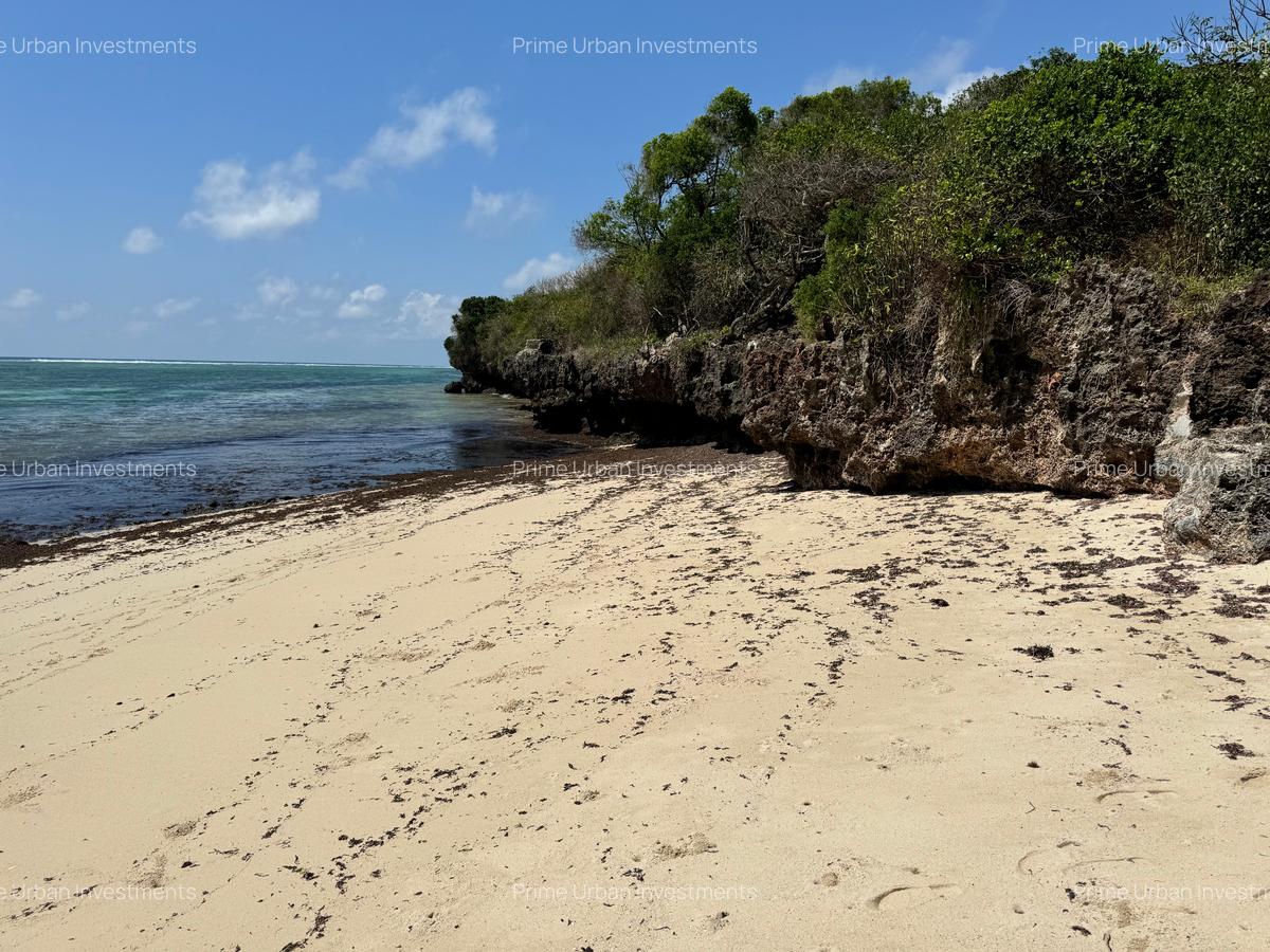 73.6 ac Land at Vipingo Kuruwitu Beach - 18