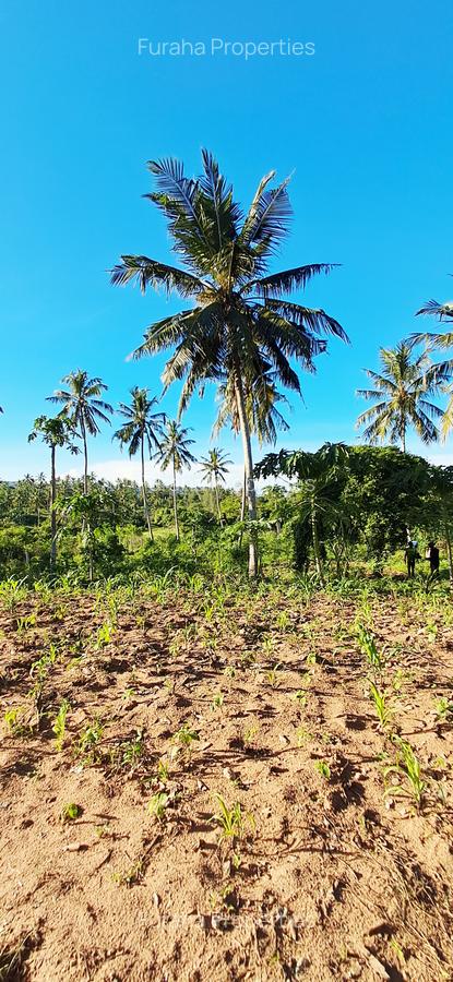 Land at Kwale - 2