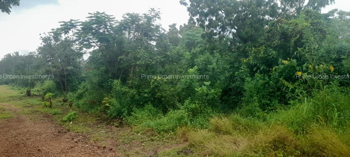 Land in Diani - 3