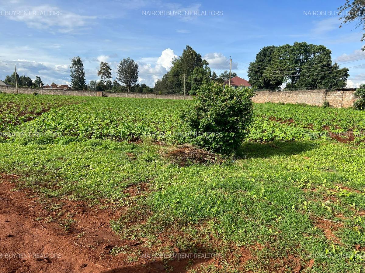 25 ac Land in Kitisuru - 6