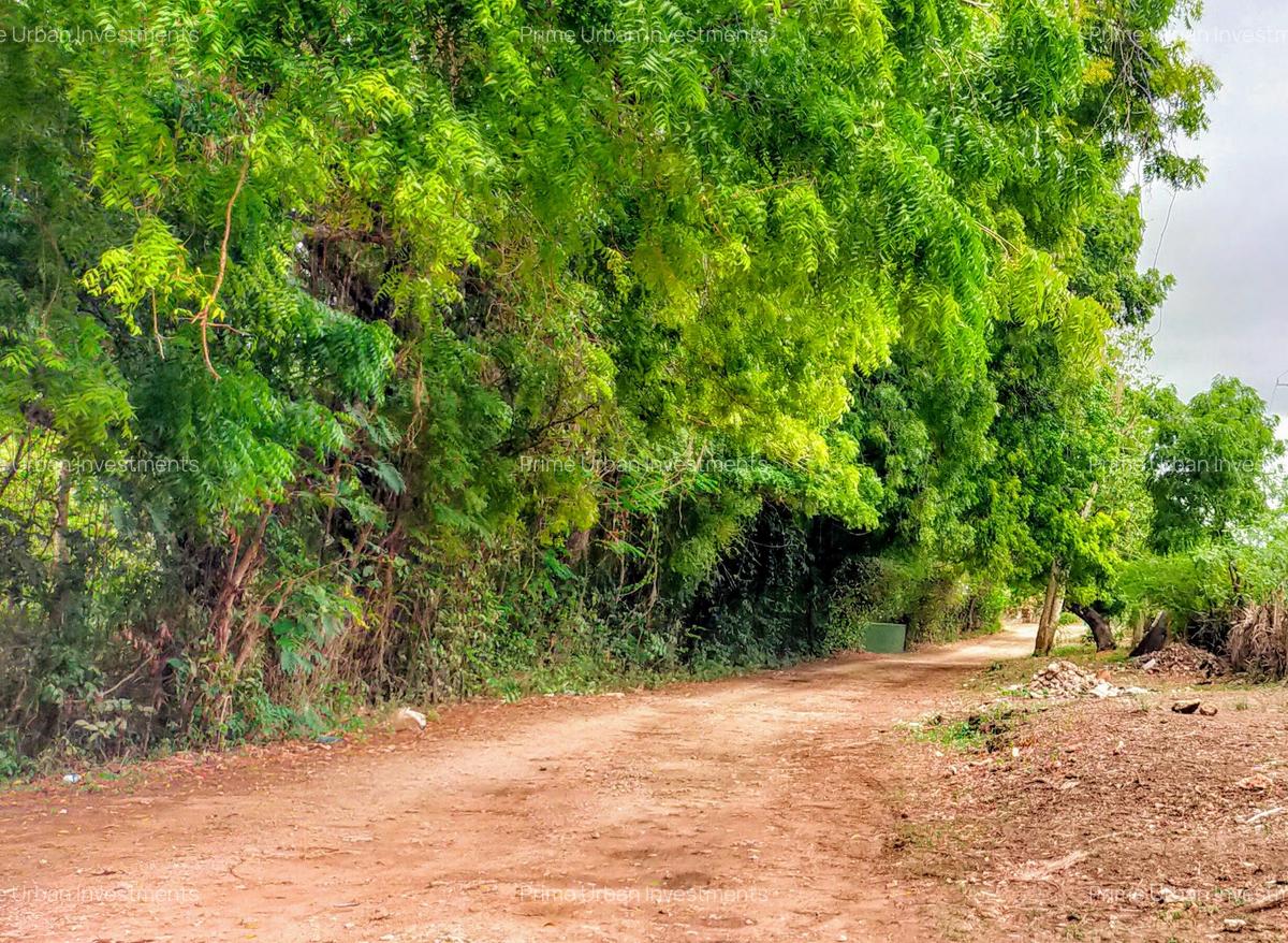 40 ac Land at Vipingo Kuruwitu - 5