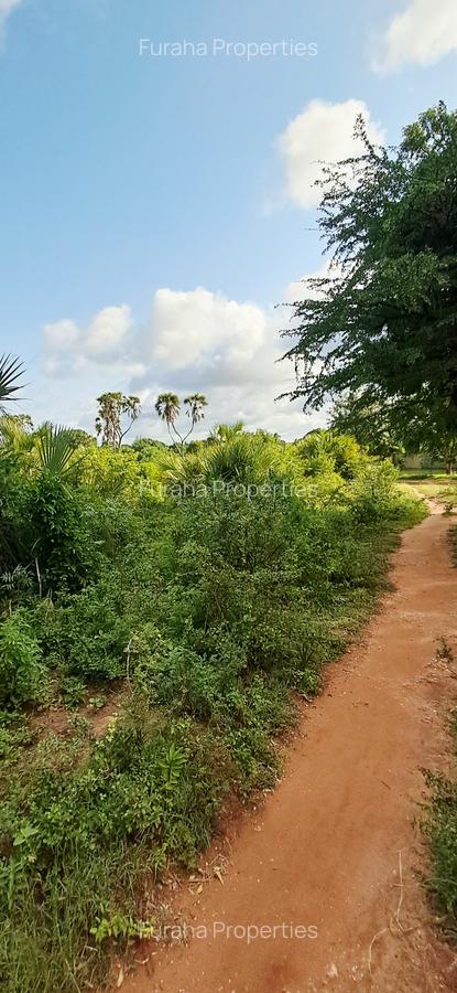 Land at Tiwi Near Diani South Coast - 14