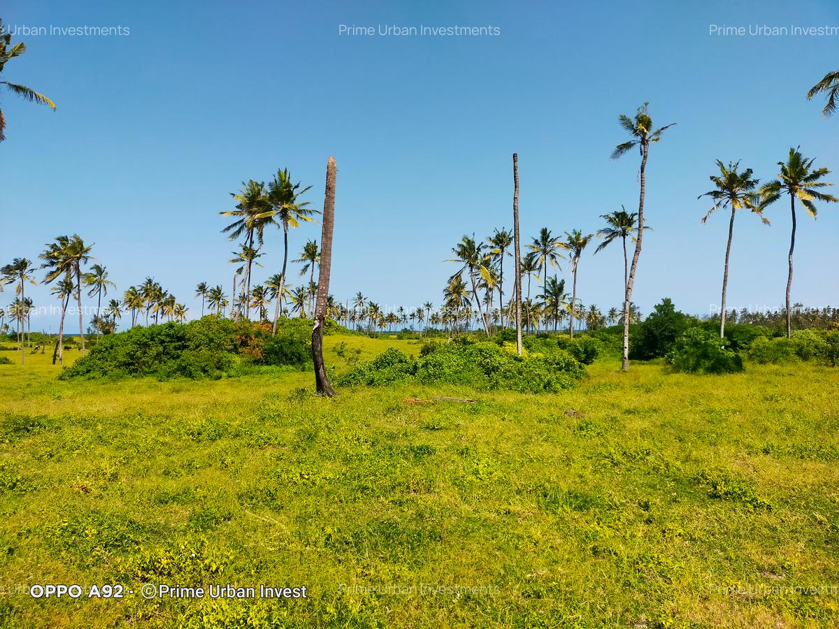 Land at Kilifi Bofa Beach - 17