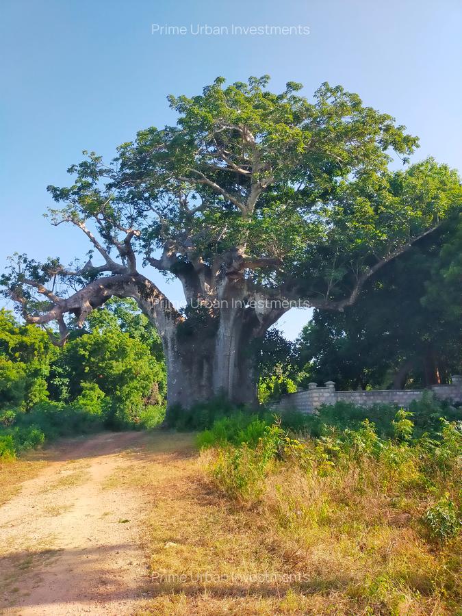 Land in Vipingo - 3