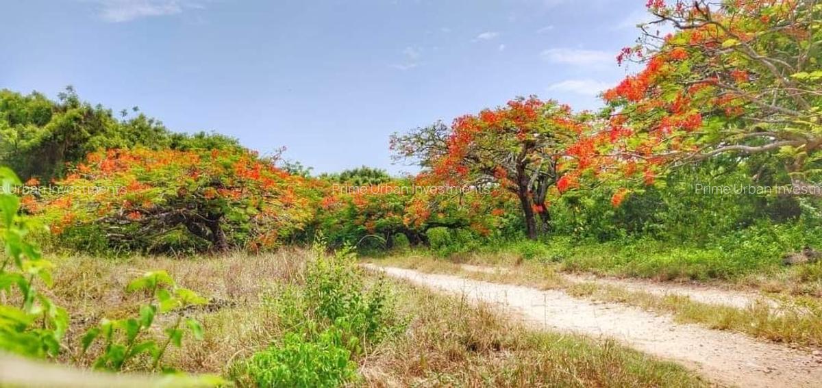 Land at Kuruwitu Beach Vipingo - 13