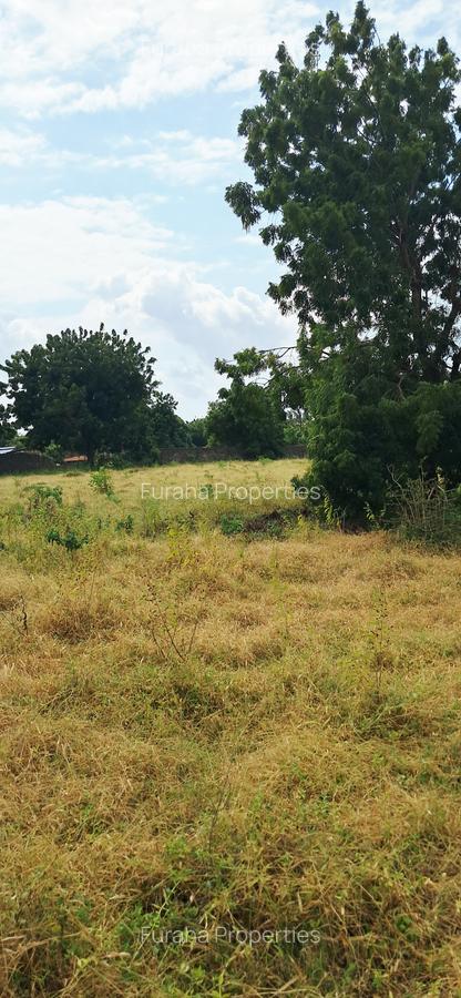 Land at Kilifi Town - 7